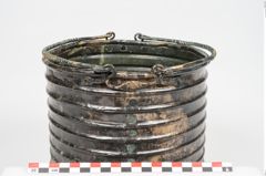 Foto von Bronzerippenziste (NHMW-PRAE-026411)